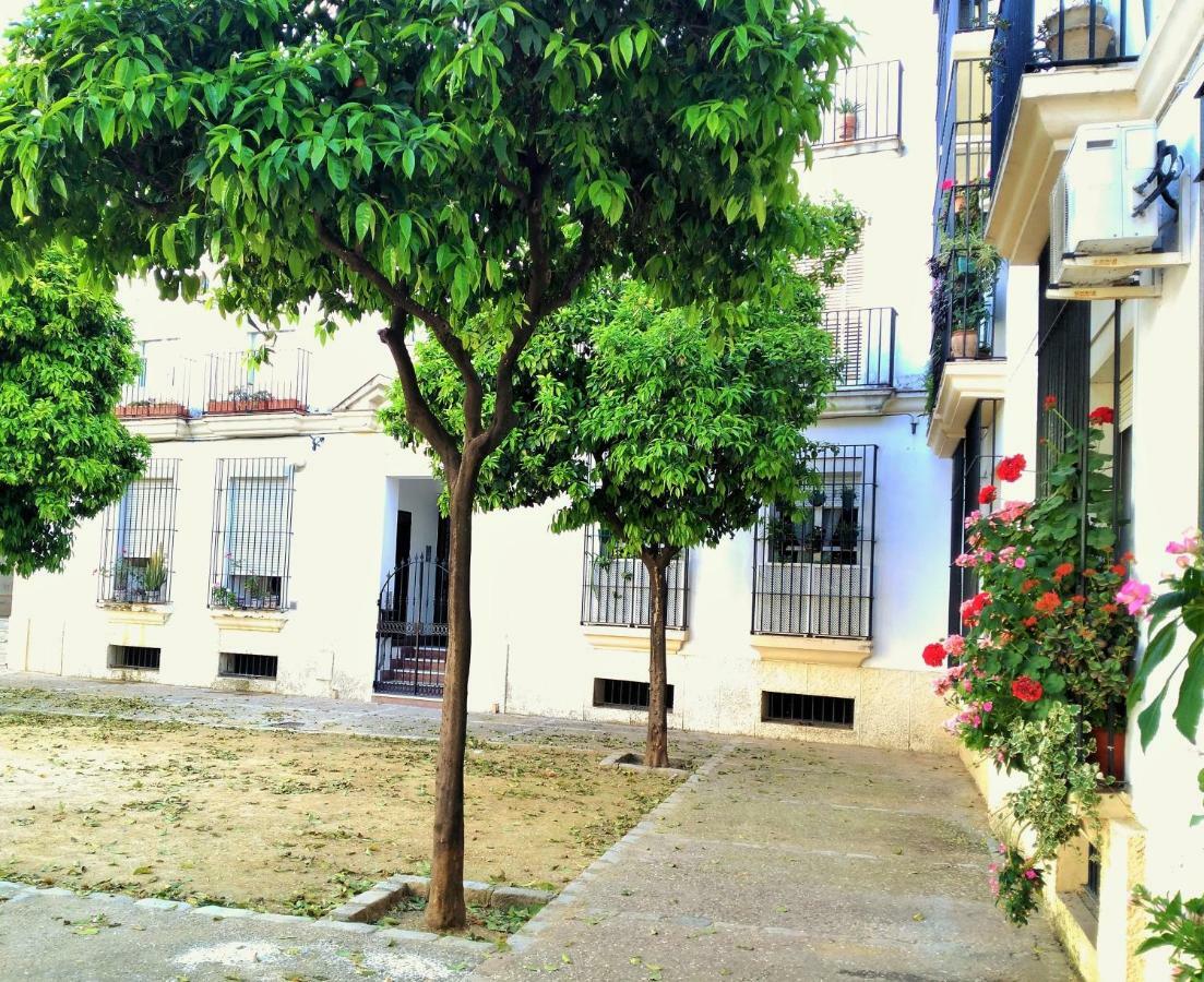 Apartamento Plaza Compania Jerez เฮเรซ เด ลาฟรอนเตรา ภายนอก รูปภาพ